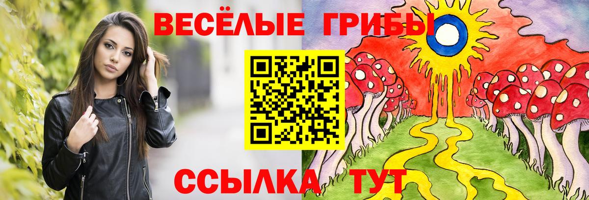 Псилоцибиновые грибы Psilocybe  Галлюциногенные грибы прущие грибы  Вход с VPN  Вышний Волочёк 